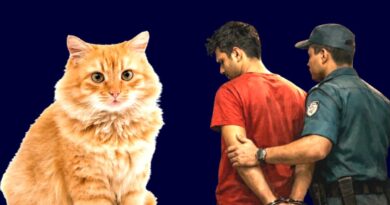 বিড়াল হত্যায় এক যুবকের ৬ মাসের কারাদণ্ড; A young man was sentenced to 6 months in prison for killing a cat.